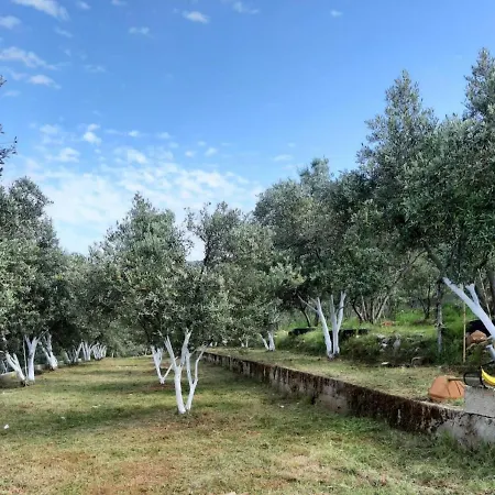 Charming House With Private Pool And View Surrounded By Nature In * Fethiye